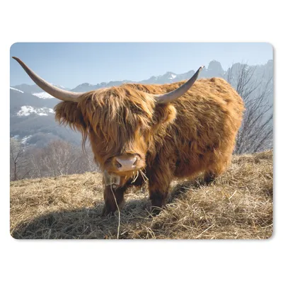 Produktbild von MuchoWow® Mauspad Mousepad Schottischer Highlander - Berg - Schnee 23x19 cm - Mousepads - Maus Mat - Pad - Mausunterlage - Schreibtischunterlage - Mauspad
