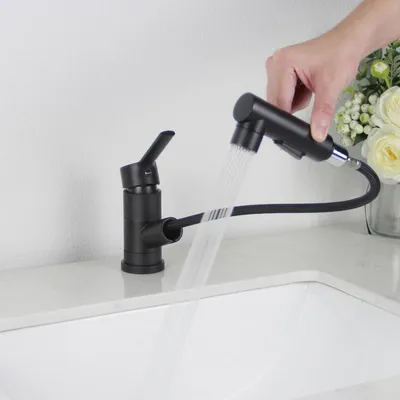 Image de Robinet de lavabo noir, pivotant à 180°, avec douchette et 3 modes