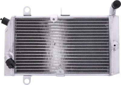 Image de Refroidisseur d'eau JMP 2020112312 pour Honda FJS