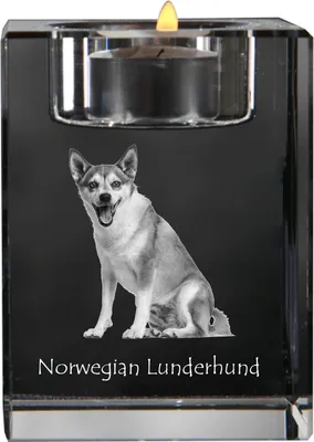 Produktbild von Norwegischer Lundehund, Norsk Lundehund - Kerzenhalter mit Hundefoto, Teelichthalter aus Kristall, personalisiertes Geschenk der Marke Art-Dog