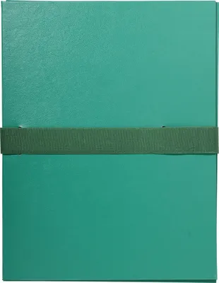 Image de Exacompta 10x Chemise dos extensible balacron et sangle scratch. Vert 623E