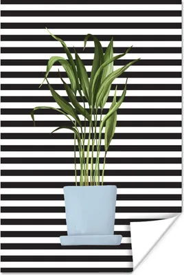 Produktbild von MuchoWow® Poster Zimmerpflanzen - Pflanzgefäß - Blau 60x90 cm - Wanddekoration