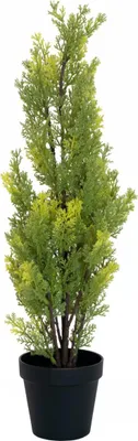 Obrázek produktu pro Europalms Zypresse Leyland Kunstpflanze 60cm 82606959