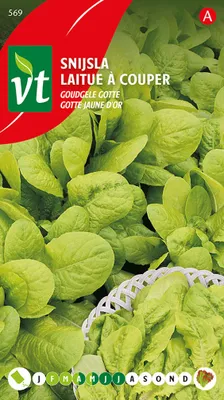 Produktbild von Kopfsalat Geschnitten Golden Yellow Gotte Samen - Ca. 4 gr | VT_569