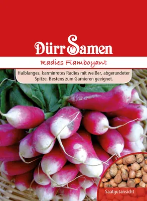 Artikelbild 1 von 'Radies Flamboyant' aus der Kategorie Radieschensamen