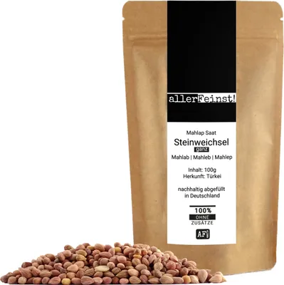 Produktbild von Mahlep Steinweichselkerne Steinweichsel Mahlab Mahleb Felsenkirsche Kerne, ganz - Tsoureki Gewürz (Griechisches Osterbrot) - 100g