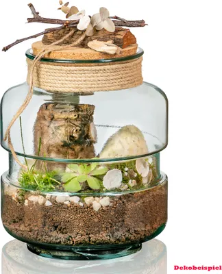 Produktbild von Volcano Flower Gläserner Garten (Flaschengarten) - Komplett Set - Höhe 25 cm