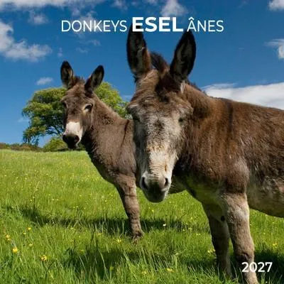 Produktbild von Esel / Donkeys 2027