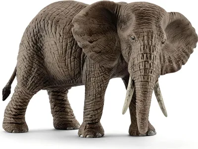 Produktbild von Wild Life Afrikanische Elefantenkuh