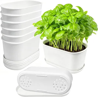 Image de Pot de fleurs avec soucoupe, 22x9x8,5 cm, lot de 10, pour plantes succulentes, en plastique