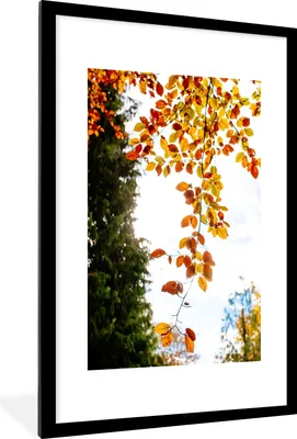 Produktbild von MuchoWow® Gerahmtes Poster Herbst - Laub - Natur 60x90 cm - Poster mit Schwarzem Bilderrahmen Wandposter Rahmen Foto Bilder - Dekoration - Wandposter Wohnzimmer - Hochwertig