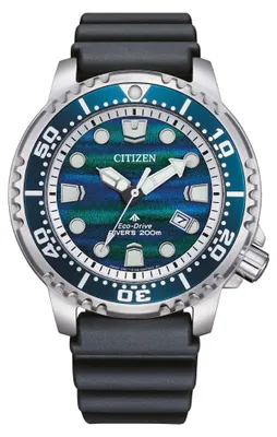 Immagine prodotto di Orologio Da Polso Citizen Bn0167-09W