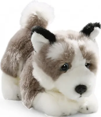 Obrázok produktu pre Carl Dick Husky Floppy cca 23 cm 3222 Plyšová hračka, mäkká hračka, plyšové zviera