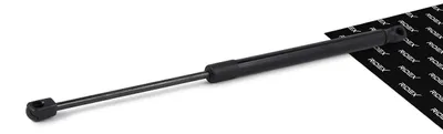 Produktbild von RIDEX 219G0707 Gasfeder Heckklappendämpfer für CITROËN C2 Schrägheck (JM) 460mm