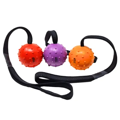 Produktbild von WEPO Hundeball mit Schnur - 3er Set Wurfspielzeug für Hunde - Hundeball - Hundespielzeug