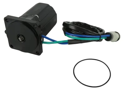 Imagen del producto de Motor de ajuste de inclinación para motor fueraborda de 4 tiempos, 12V