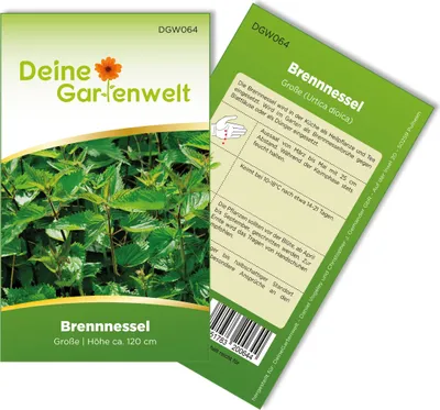 Produktbild von Brennnessel große Samen - Urtica dioica - Brennnesselsamen - Kräutersamen - Saatgut für 250 Pflanzen