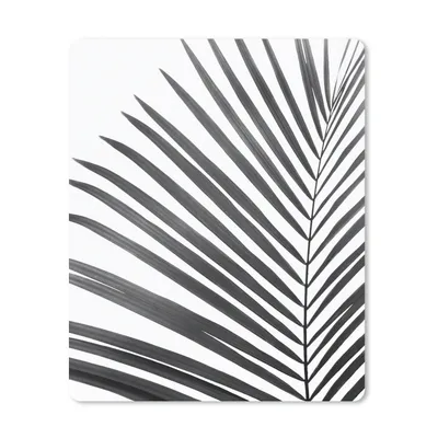 Produktbild von MuchoWow® Mauspad Mousepad Pflanze - Schwarz und weiß - Natur - Blatt 19x23 cm - Mousepads - Maus Mat - Pad - Mausunterlage - Mauspads - Spielen