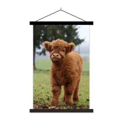 Produktbild von MuchoWow® Textilposter Schottische Highlander - Gras - Natur 60x90 cm mit schwarzem Rahmen - Poster Wohnzimmer