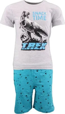 Produktbild von Jurassic World T-Rex Kinder Schlafanzug Pyjama – Grau / 104