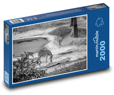 Obrázok produktu pre Puzzle 2000 Zebry - Afrika, safari - martinpuzzle