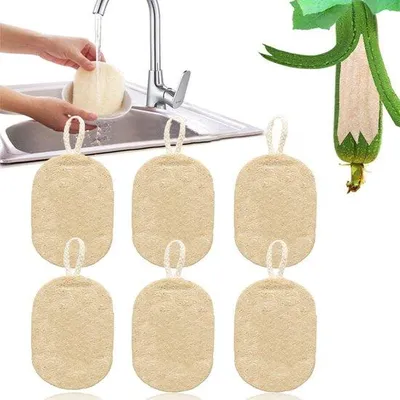 Produktbild von -Loofah-Schwämme 6er Set - Umweltfreundlich - Biologisch Abbaubar - Natürliche Schleifschwämme - Nachhaltig - Gute Schäumleistungen - Spülmaschinensicher