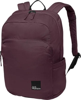 Produktbild von Jack Wolfskin Terraview Daypack 47 cm Laptopfach