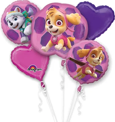 Immagine prodotto di Paw Patrol Inseguimento S/Forma