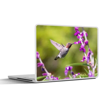 Produktbild von MuchoWow® Laptop Aufkleber Sticker Cover Kolibri - Vogel - Natur 40x30 cm - Laptop Dekoration - Selbstklebend