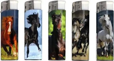 Immagine prodotto di Set di 5 accendini piezoelettrici classici a gas con cavallo