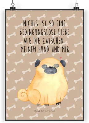 Produktbild von Mr. & Mrs. Panda Bild Mops DIN A4 - Hundeglück - Geschenk, Sprüche, Knuffig, Plakat, Kunstdruck, Hund, Wanddeko, Wandbild, Liebe, Pure