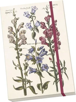 Image de Notýsek Blue Flowers