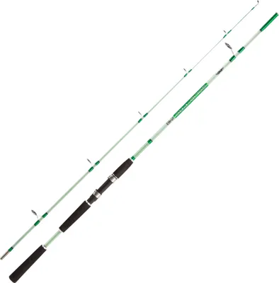 Produktbild von Jenzi Angelrute Solid Pro 30-80g 2,40m