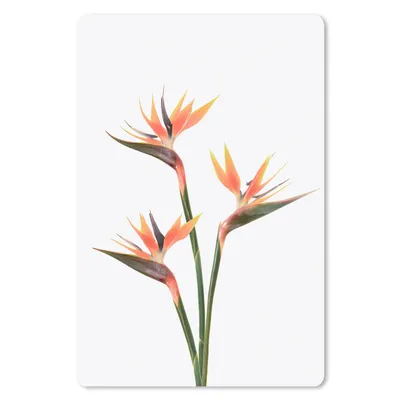 Produktbild von MuchoWow® Mauspad Mousepad Blumen - Orange - Natur - Pflanzen 18x27 cm - Mousepads - Maus Mat - Pad - Mausunterlage