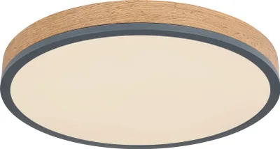 Produktbild von Globo Lighting Deckenleuchte Metall Graphit, LED