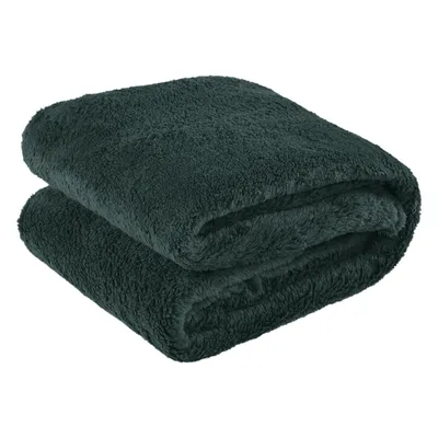 Obrázek produktu pro Fleecová deka Dormitio® Teddy, 150 x 200 cm, 100 % polyester, 210 GSM, mátově zelená