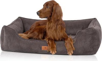Produktbild von Knuffelwuff orthopädisches Hundebett aus Cord mit Handwebcharakter Nunavut M-L 85 x 63cm Braungrau
