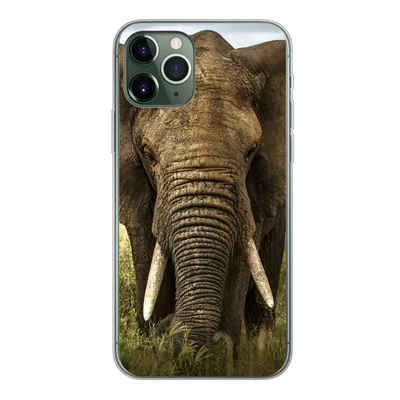 Produktbild von MuchoWow® Handyhülle Schutzhülle Hülle für iPhone 11 Pro Elefant - Natur - Gras - Tiere - Landschaft Silikon Softcase Handy Hülle - Handy