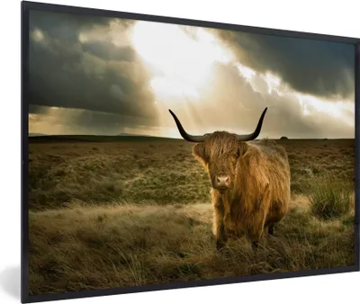 Produktbild von MuchoWow® MuchoWow® Gerahmtes Poster Schottisches Hochlandrind - Sonne - Tiere 30x20 cm - Poster mit zchwarzem Bilderrahmen - Kunstdruck - Bild-Poster