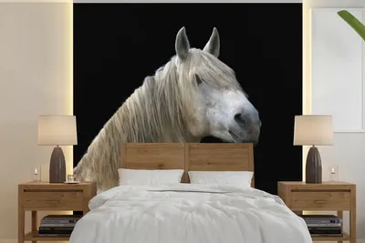 Produktbild von MuchoWow® Fototapete für Wohnzimmer oder Schlafzimmer Wandtapete Vinyl Motivtapete Pferde - Pilz - Schwarz - 220x220 cm - Tapeten