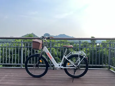 Produktbild von 2026 26" E Bike, City E-Bike & E-Hollandrad mit 36V 10Ah bis zu 80-90km, SHIMANO 7-Gang, 250W Motor&25km/h, LCD Anzeige, E-Bikes, Mit Rücklichtern