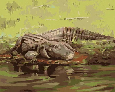 Zdjęcie produktu dla Zuty - Painting by Numbers - ALIGATOR LEŻĄCY NAD WODĄ II (D. RUSTY RUST), 40x50 cm, płótno na ramie