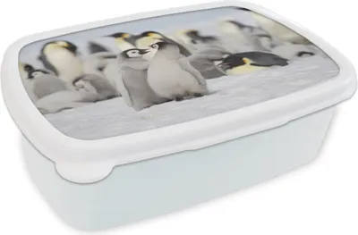 Produktbild von KitchenYeah® Lunchbox Brotzeit Brotdose 17x11 cm Pinguine - Schnee - Tiere Kinder Brotzeitdose - Lunch Box - Kinder - Sandwich-Box - Schulbox - Lunch Boxen
