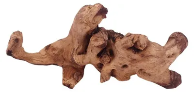 Produktbild von L Mopani Wurzel Nr.4707 Holz Deko Aquascaping