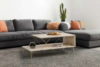 A living room scene with a couch and coffee table.