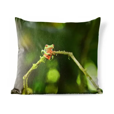 Obrázek produktu pro MuchoWow® Vnější polštář - Žába - větve - zelené -50x50 cm- Odolnost proti povětrnostním vlivům - polštář do obývacího pokoje