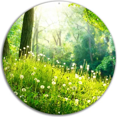 Produktbild von Wallario rundes Outdoor-Poster für Garten oder Balkon, Motiv Pusteblumen im Wald mit einfallenden Sonnenstrahlen, 60 cm Durchmesser