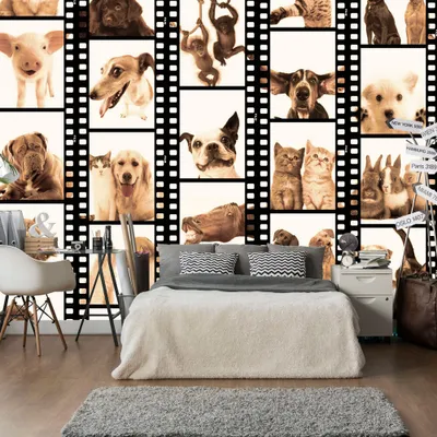 Produktbild von PURO TAPETE selbstklebend 10m Wandtattoo dekorative Möbelfolie Dekorfolie Fotofolie Panel Wandaufkleber Wandposter Wandsticker - Tiere Katze Hund Pferde Schwein Kaninchen g-C-0026-j-c