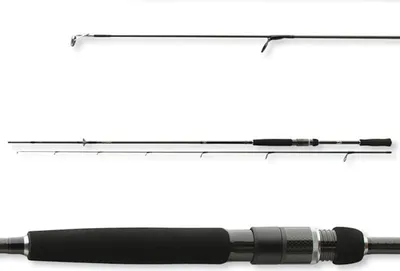 Produktbild von DAIWA Prorex AGS AGS Spin, 2,4m, 7,87ft, 30-70g, 2 Teile, Spinnrute, 11290-243