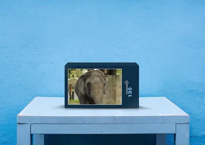 Produktbild von hansepuzzle 85820 - Elefant Puzzle, 130 Teile, Tierwelt, 28,7 x 20,0cm mit hochwertiger Aufbewahrung, Kartonbox und wiederverschließbarem Beutel